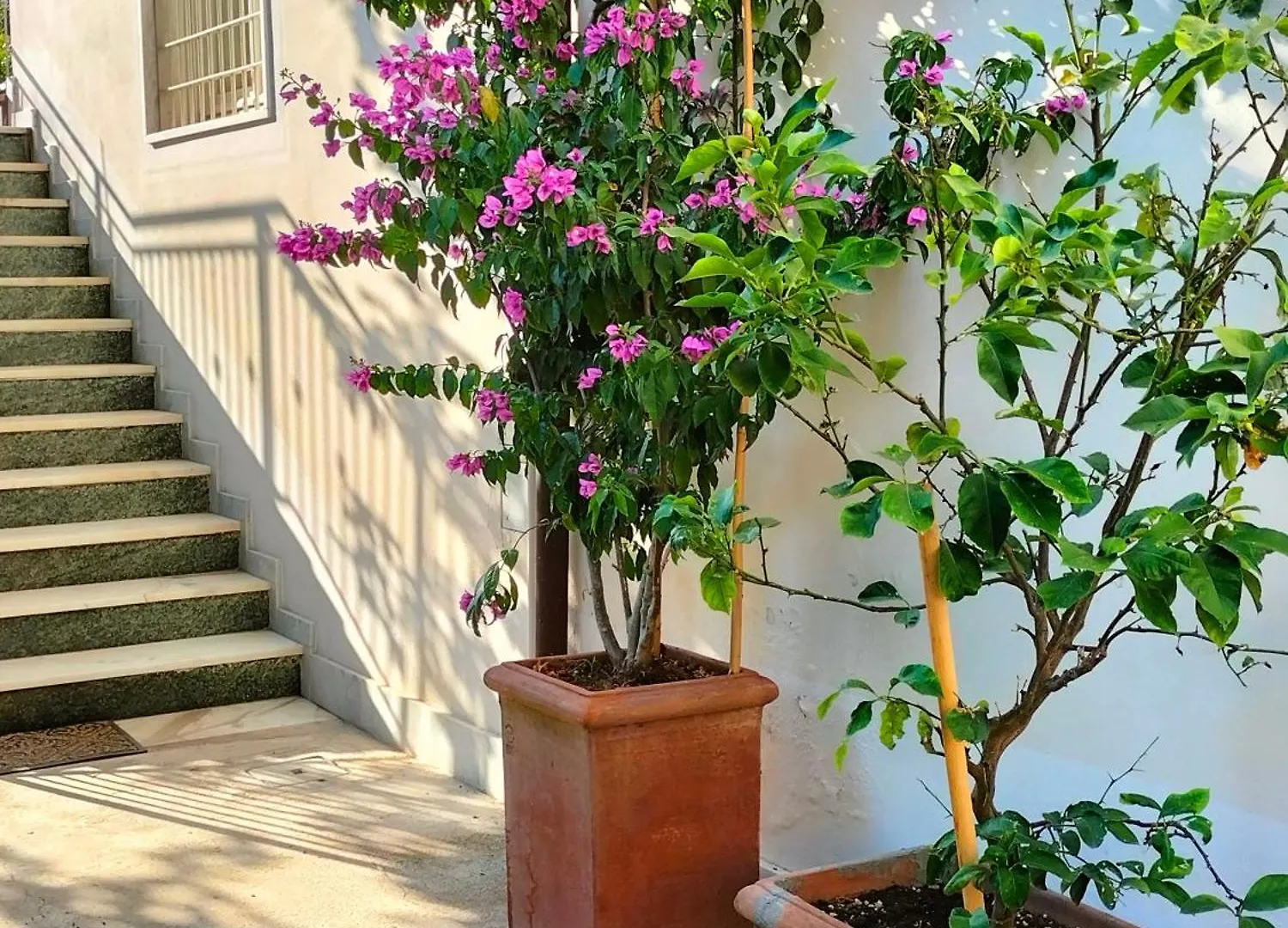 Casa Vintage Villa Carrara 0*,  Italy